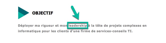 « Leader » (ou « Leadership ») sera mieux accueilli s'il est inclût dans une phrase complète dans ton CV.