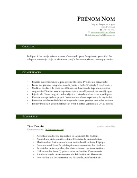 Aperçu du modèle de CV vert forêt - Page 1