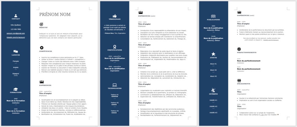 Modèle de CV — L'Efficace bleu — 3 pages