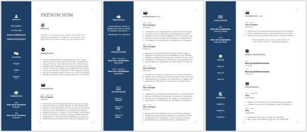 Modèle de CV — L'Efficace bleu — 3 pages