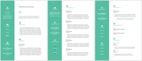 Modèle de CV — L'efficace vert — 3 pages