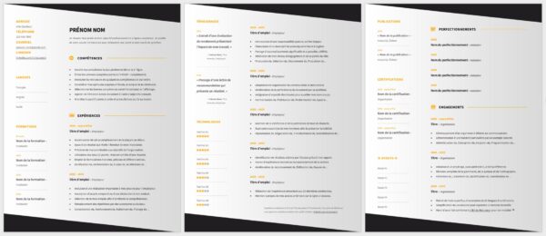 Modèle de CV — L'élégant Orange — 3 pages
