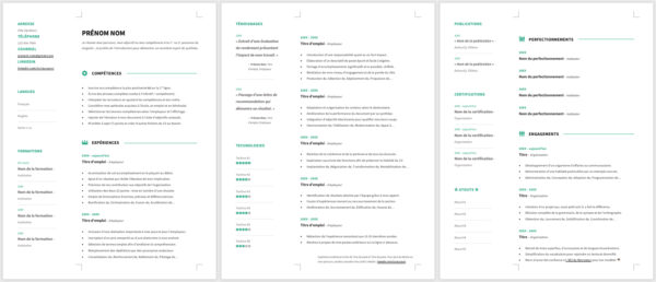 Modèle de CV — L'élégant vert — 3 pages