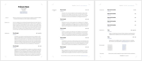 Modèle de CV — L'épuré mauve — 3 pages