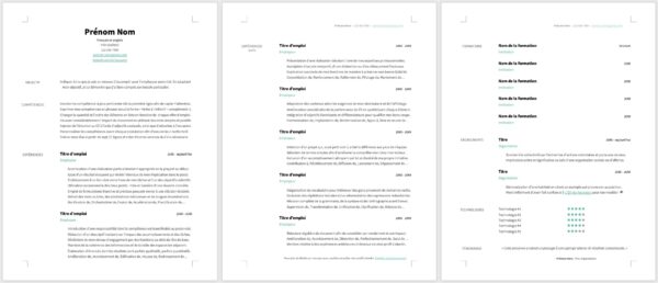Modèle de CV — L'épuré vert — 3 pages