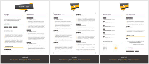 Modèle de CV — Le soigné jaune — 3 pages