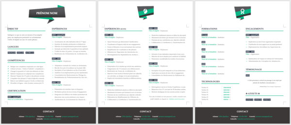 Modèle de CV — Le soigné vert — 3 pages