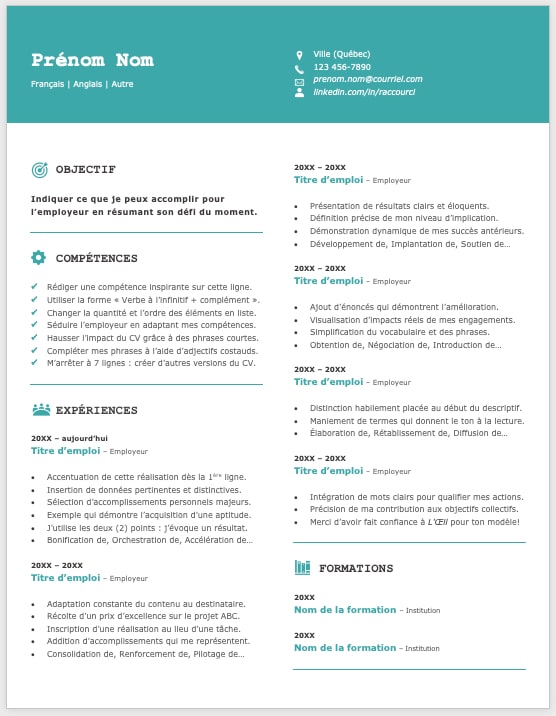 Modèle de CV — Le techno vert — 1 page